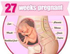 وضعیت بدن مادر در هفته بیست و هفتم بارداری